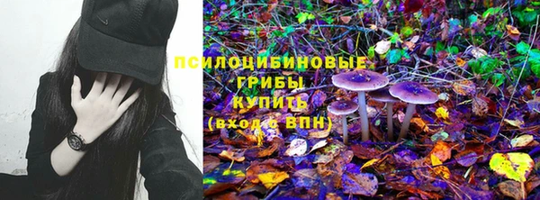 mix Горняк