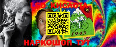 индика Гусь-Хрустальный